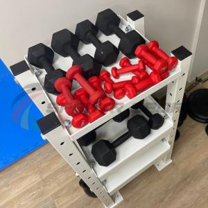 Купить Модульный стеллаж для гантелей, гирь  600х470х1160 в Суоярви 
